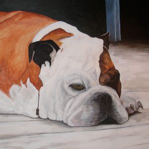 Tableau Bulldog anglais - artiste peintre Madeleine Bergereon
